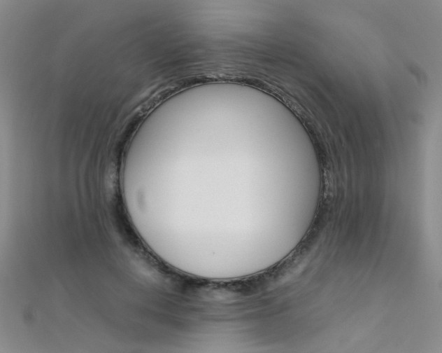 X0000112170648200908071000