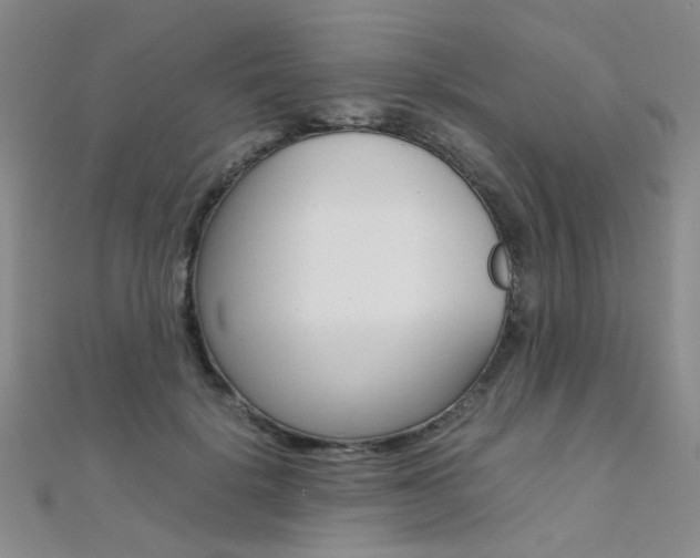 X0000112170652200908071000