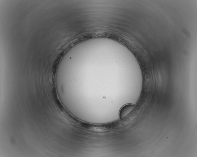 X0000112170654200908071000