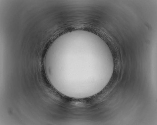 X0000112170655200908071000