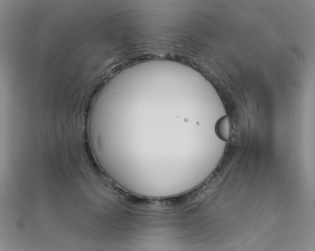 X0000112170656200908071000