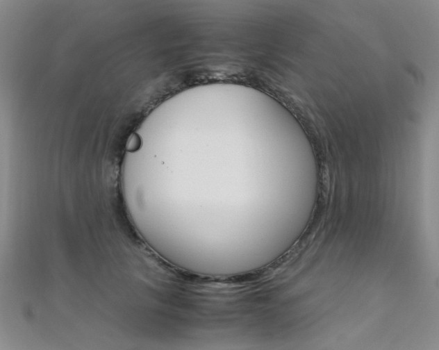 X0000112170657200908071000