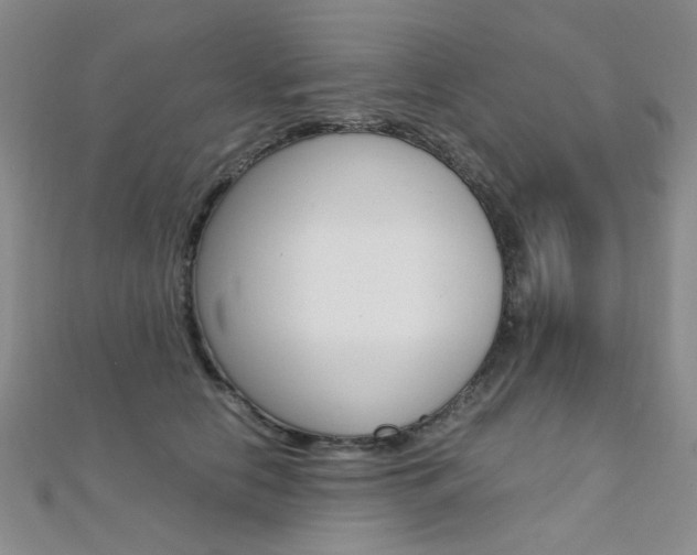 X0000112170658200908071000