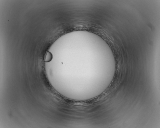 X0000112170659200908071000