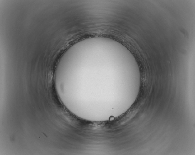 X0000112170660200908071000