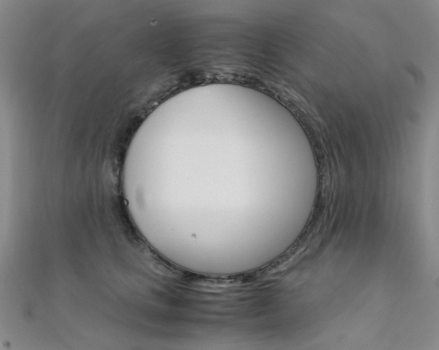 X0000112170661200908071000