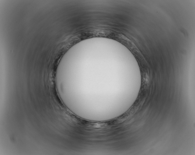 X0000112170663200908071000
