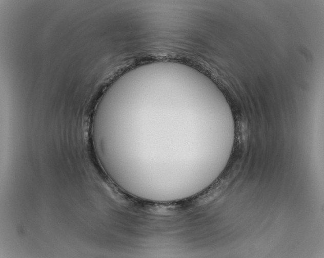 X0000112170664200908071000