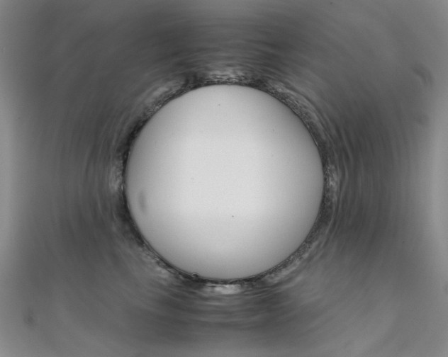 X0000112170665200908071000