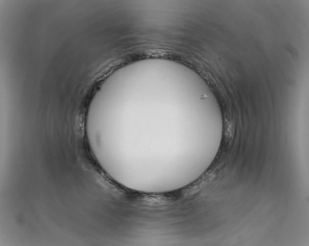 X0000112170666200908071000