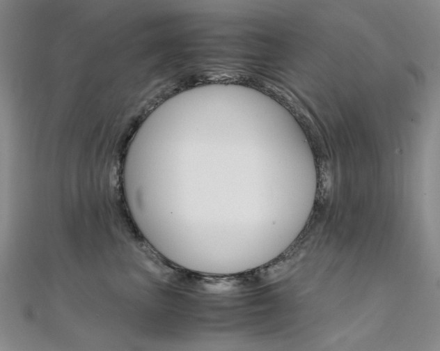X0000112170667200908071000