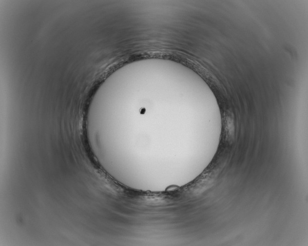 X0000112170668200908071000