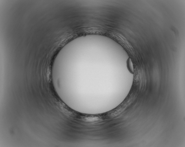 X0000112170669200908071000