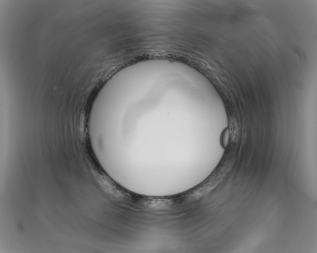 X0000112170670200908071000