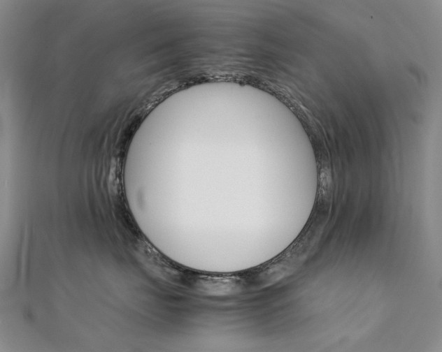 X0000112170671200908071000