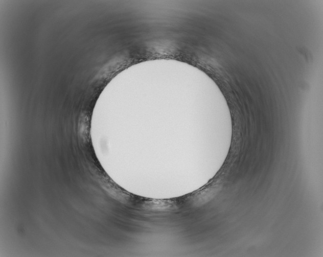 X0000112170672200908071001