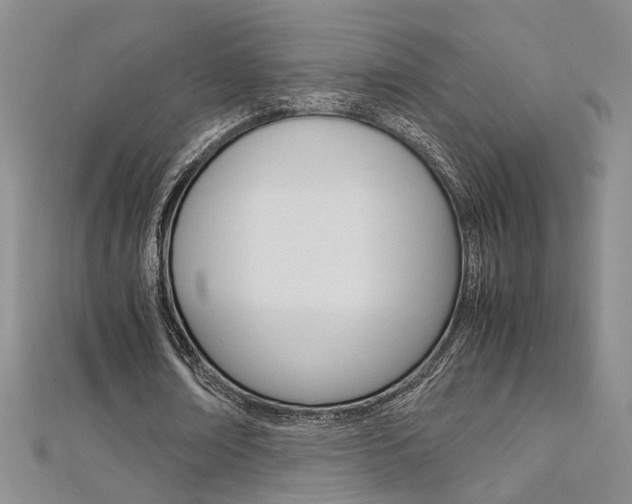 X0000112170674200908071000