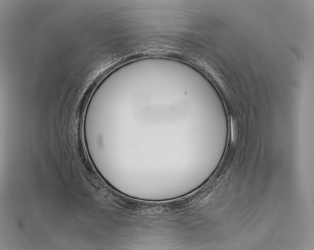 X0000112170675200908071000