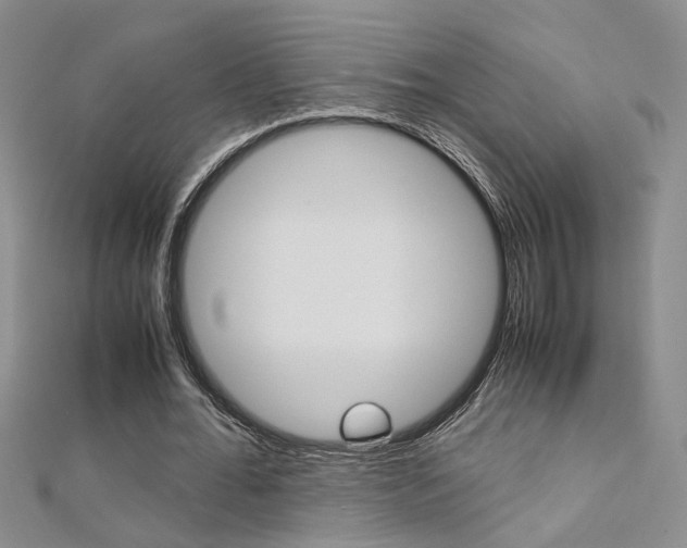 X0000112170676200908071000