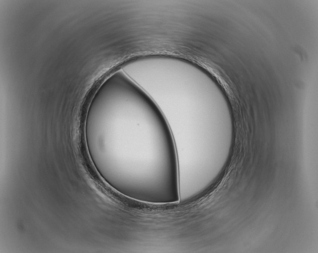 X0000112170677200908071000
