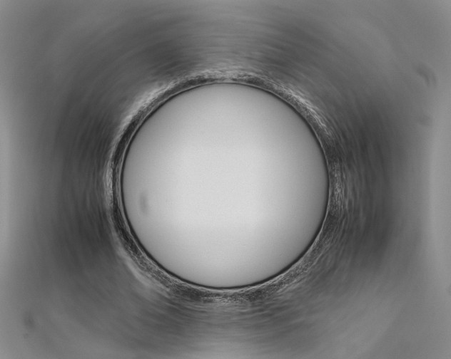 X0000112170678200908071000