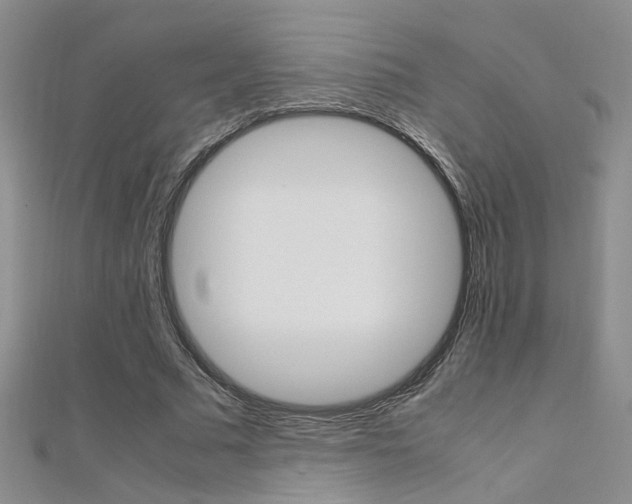 X0000112170681200908071000
