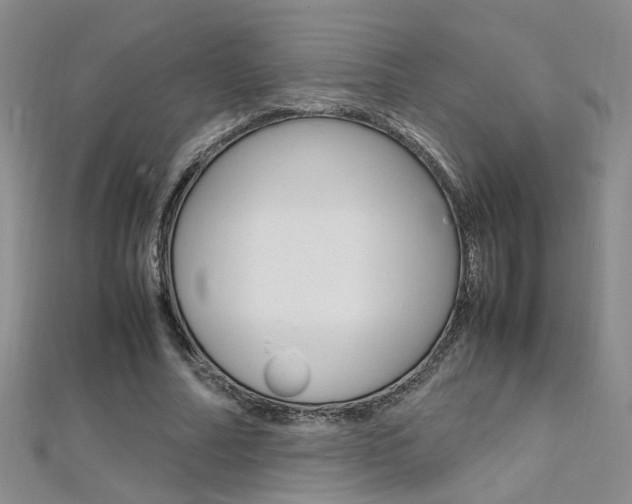 X0000112170682200908071000