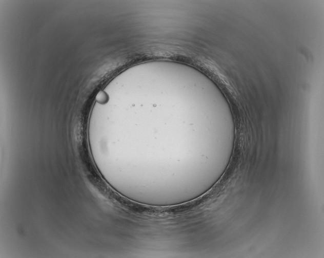 X0000112170683200908071000