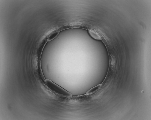 X0000112170684200908071000