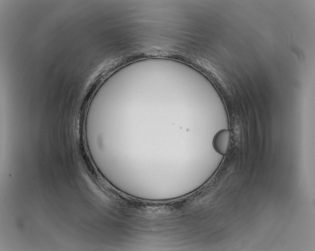 X0000112170686200908071000
