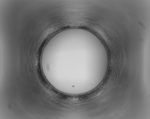 X0000112170687200908071000