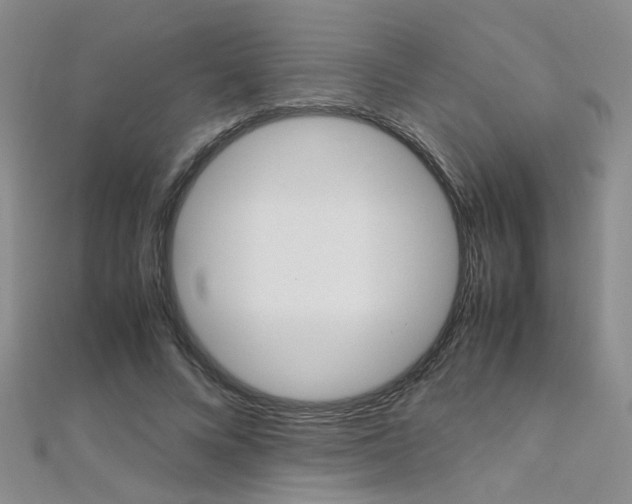 X0000112170688200908071000