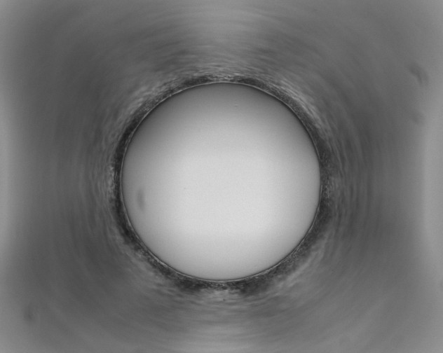 X0000112170689200908071000
