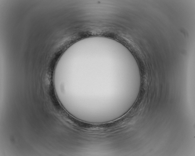 X0000112170691200908071000