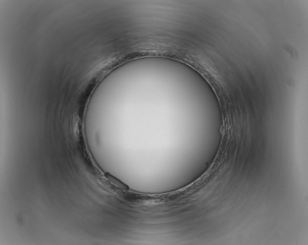 X0000112170692200908071000
