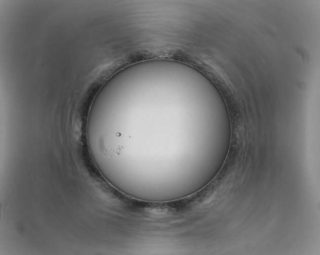 X0000112170693200908071000