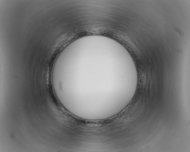 X0000112170694200908071000