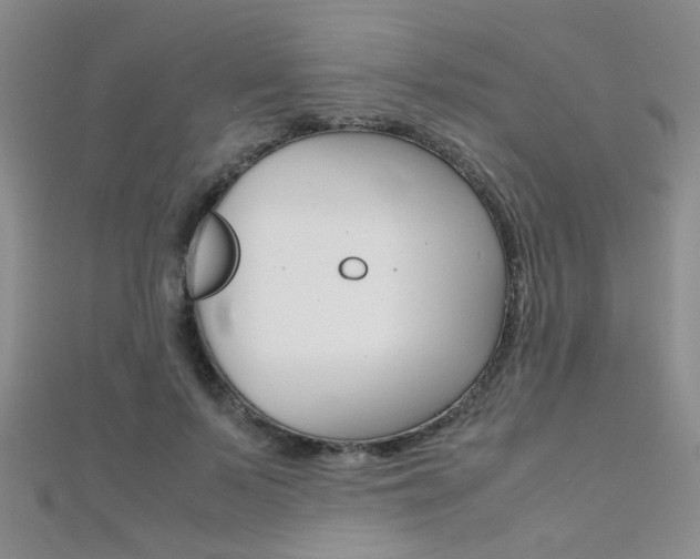 X0000112170695200908071000