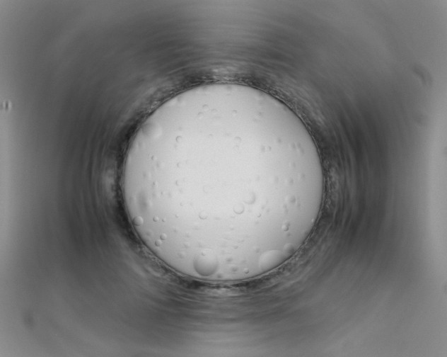 X0000112170698200908071000