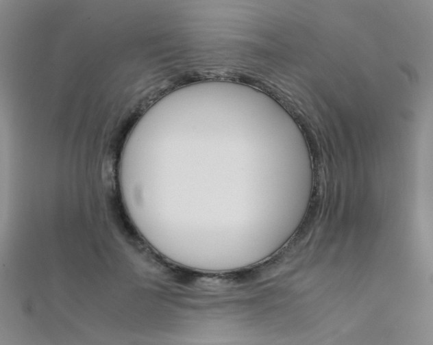 X0000112170699200908071000