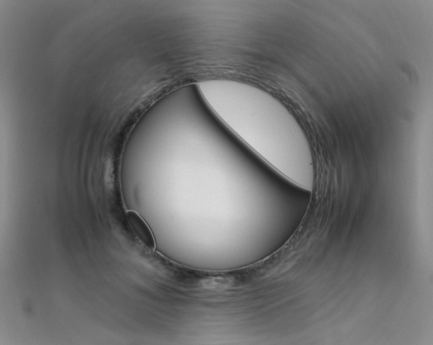 X0000112170700200908070959