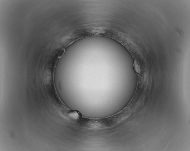 X0000112170704200908070959