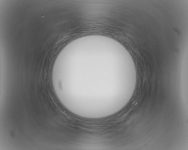 X0000112170705200908070959