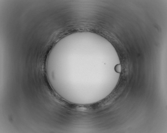 X0000112170706200908070959