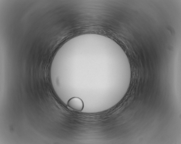 X0000112170708200908070959