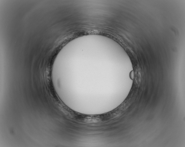 X0000112170714200908070959