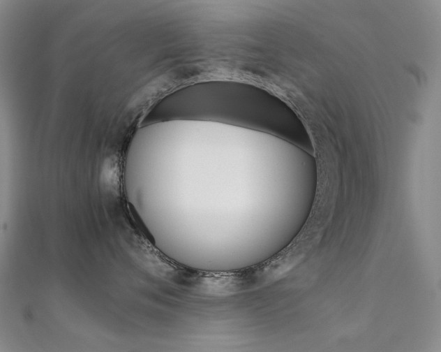 X0000112170720200908070959