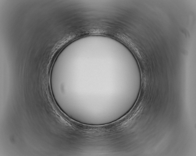 X0000112170721200908070959