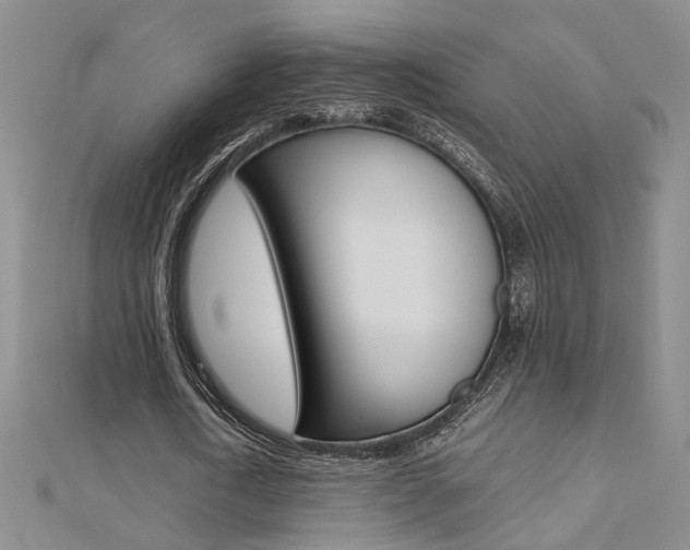 X0000112170722200908070959