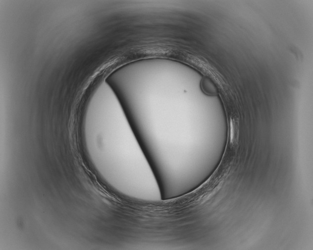 X0000112170723200908070959